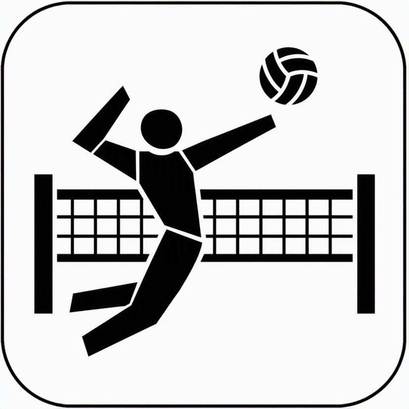 Volleyball